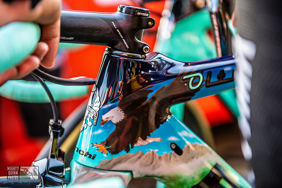 Roglic's cockpit