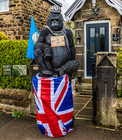 The Gorilla