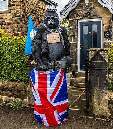 The Gorilla