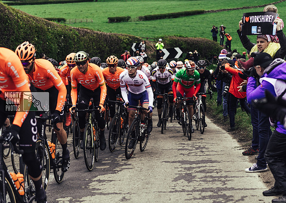 Greg Van Avermaet