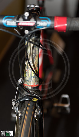 The Lion of Flanders winning bike